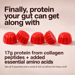 Protein Gummies
